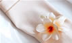 Place mat or napkin ring