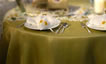 Tablecloth