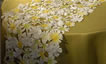 Table Runner