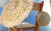Chairs for bride and groom