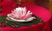 Tablecloth
